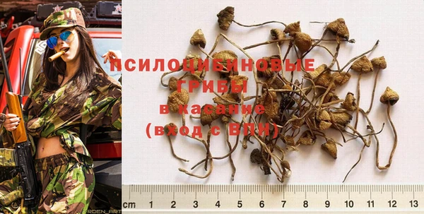 ешки Елизово