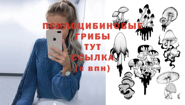 героин Ельня