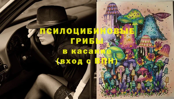 героин Ельня
