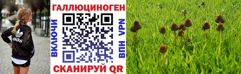 Галлюциногенные грибы Magic Shrooms  Купить  Мелеуз 